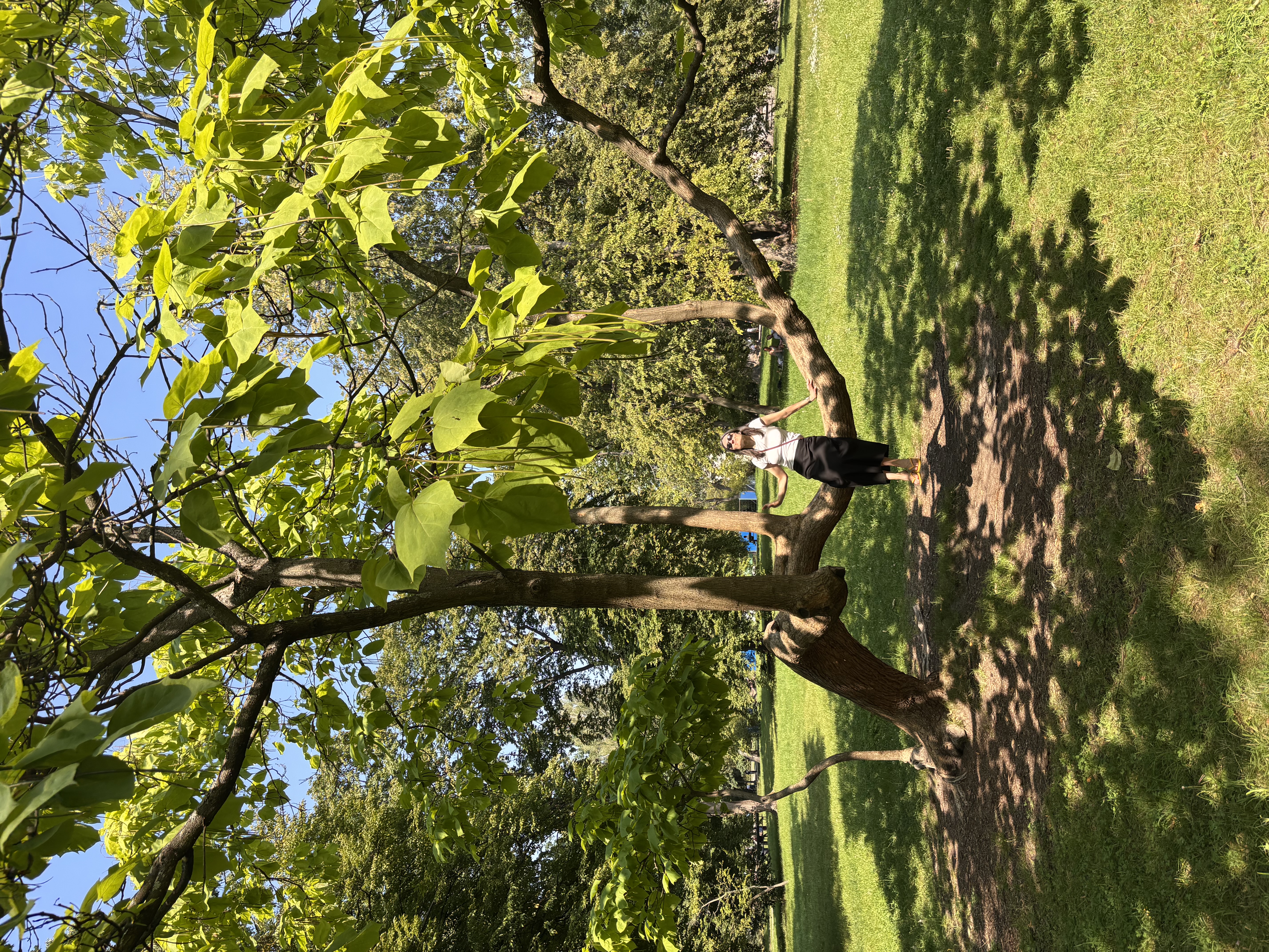 IMG_3017-6104f80b.jpeg